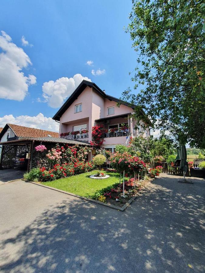 Apartman Vesna Bjelovar Buitenkant foto
